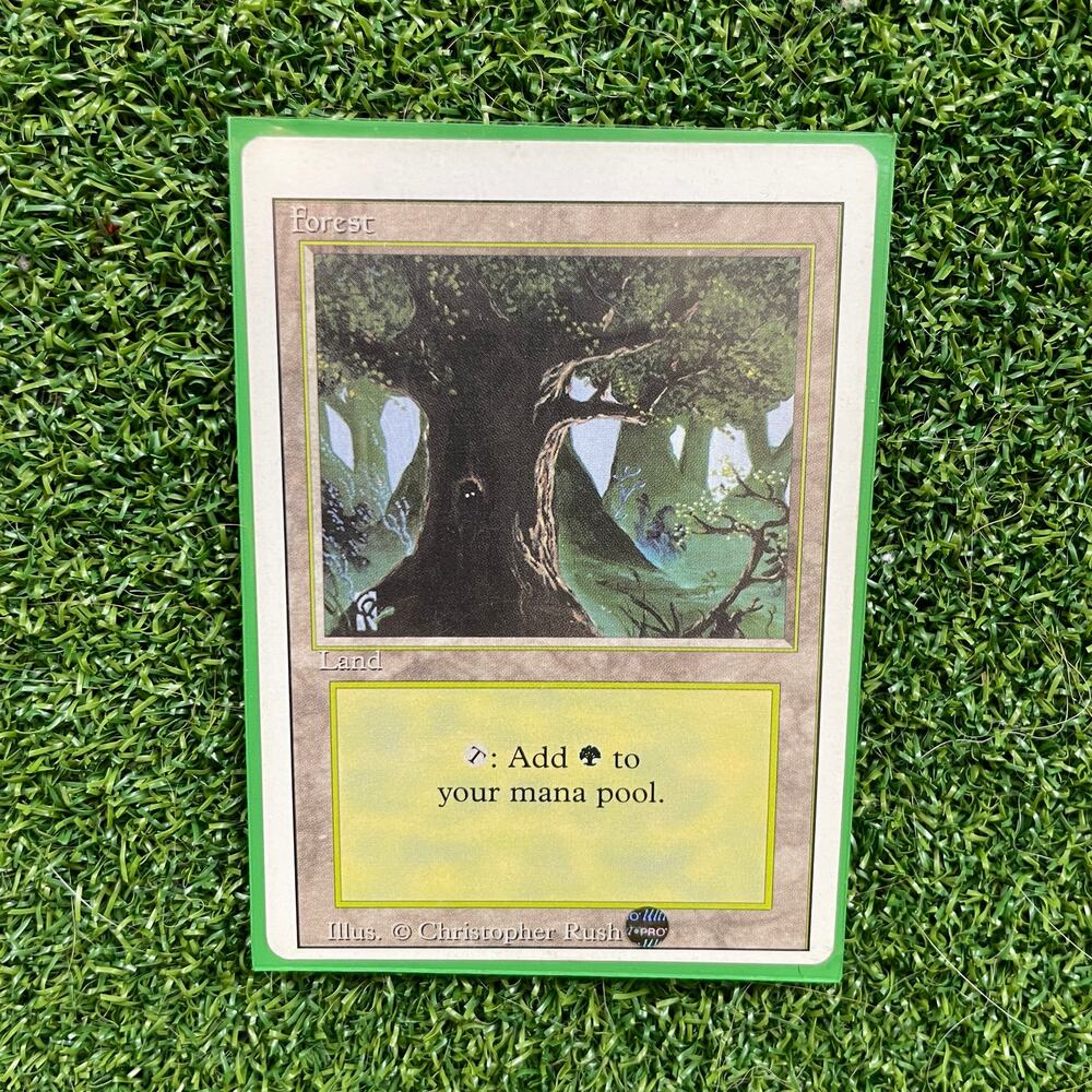 MTG Forest Christopher Rush Art Vintage Basic Land Magic Card LP